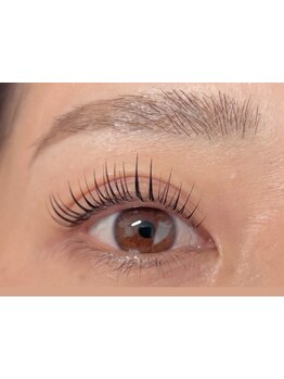 初めての方にオススメ