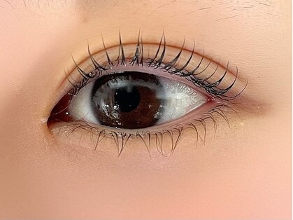 バイエムディーシー(by MDC)の写真