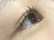 ピクシーボブ(Pixie Bob)/直角スタイル