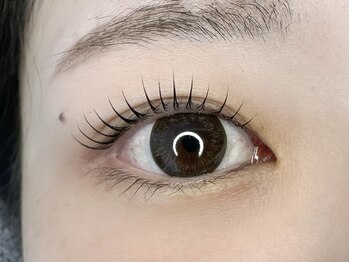 エニフ(Enif)/デザインまつげパーマ