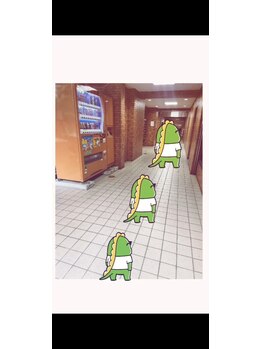 アンスリウム グラ(A.gula)/ロビー