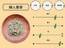 夢みるよもぎ蒸し えん蒸すび/漢方医監修　☆婦人コース☆