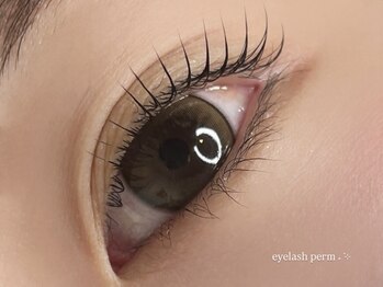 ハロウ/まつ毛パーマ 上のみ momoka担当