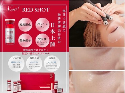 ペリドット(Peridot)の写真