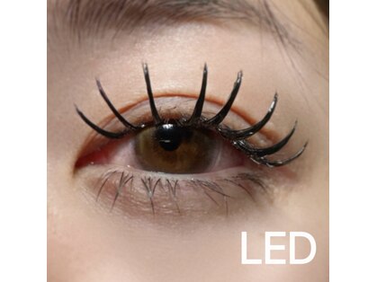 パフ(puf)の写真