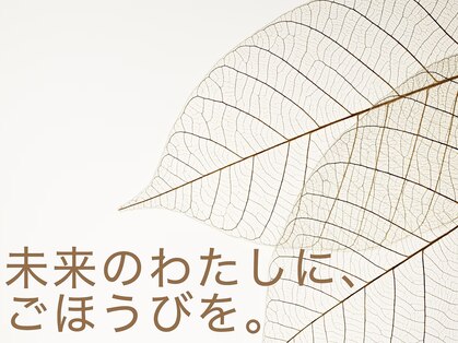 ソイ(Soi)の写真
