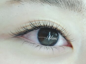 アイラッシュサロン ブラン イオン上越店(Eyelash Salon Blanc)/【ナチュラル】シングル♪