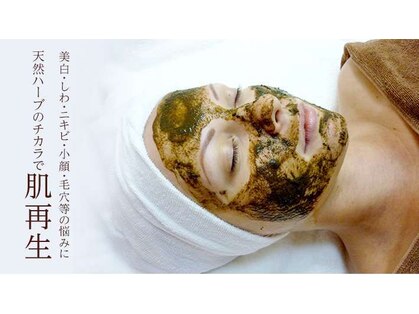 シェリ(Cherie)の写真