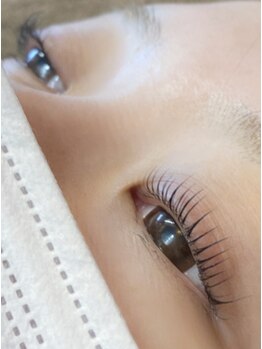 オッジヘアー/まつ毛パーマ　5月正田