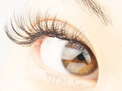 アイラッシュエー(eyelashA)の写真
