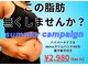メイリー(MEILLI)の写真