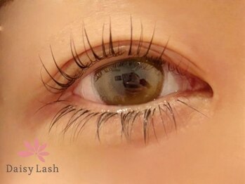 デイジーラッシュ 神戸三宮店(Daisy Lash)/まつげパーマ/パリジェンヌ/神戸