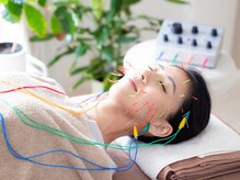 カメリア(Camellia)の雰囲気（電気の力で筋肉を引き上げて内側からリフトアップ♪）