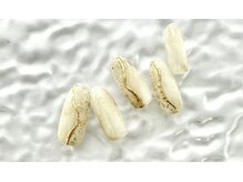 ルル ソレイユ(LouLou Soleil)/