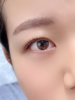 ルイール 光の森(Luire)/光の森LEDマツエク