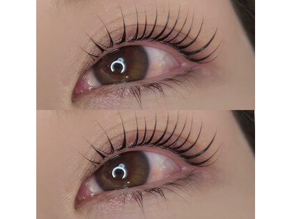 トータス ダイエットアンドアイラッシュ(tortoise diet & eyelash)の写真