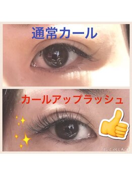 アイラッシュサロンプテリ (EYELASH SALON PUTERI)/【カールアップラッシュ】4000円
