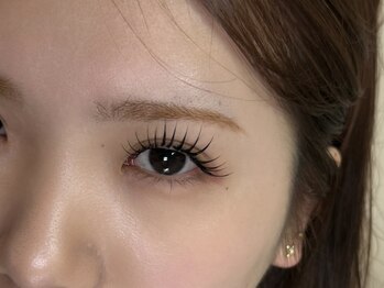 ヘデラ(HEDERA)/エクステ/ブラック 120本