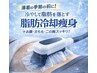 脂肪細胞の数を減らす最新マシン！脂肪冷却痩身★1箇所 通常22000円→6800円