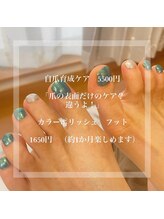 エクラプラス(Eclat.plus)/カラーポリッシュネイル