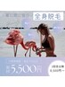 2月末迄《女性/都度払い》癒しの全身まるごと美肌脱毛(お顔・VIO込) 5,500円