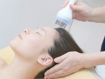 カイセイドウ(KAISEIDO)/頭肩首こりでお悩みの方に◎