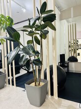 レクリエイター(Re:QREATOR)/ストレッチブース