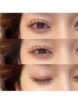 ティグル アミュプラザくまもと店(Tigre)/Flat lash brown 100本 束感