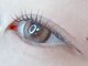 ティー クリア ネイルアンドアイラッシュ 中島店(T.Clear Nail & Eyelash)の写真/まつげサロン初心者様大歓迎♪豊富な知識と経験をもつアイリストが、お客様の理想のお目元を叶えます★