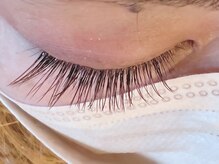 レミア 関内(REMIA)/6月　ブラウンカラー