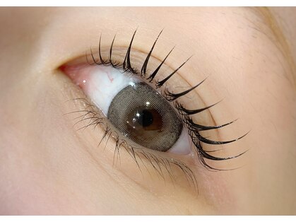 アンド シェリ(& Cheri)の写真