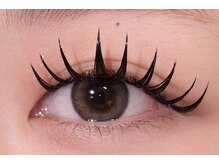 アルディ(hardi)/ダブルフラットラッシュ