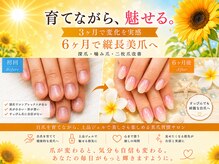 ケアビューティサロン(care beauty salon)