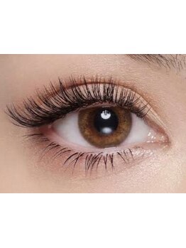 初めての方にオススメ