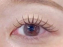 アリータ(ALITA)/フラットラッシュ100本