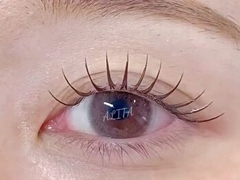 アリータ(ALITA)/フラットラッシュ100本