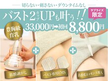 美人バスト 岡崎店