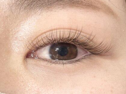 ジョリ(Joli.)の写真