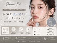 プラチナムドール 桂店(PLATINUMDOLL)