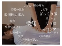 ラポルテ(La'Porte)の雰囲気（腰痛｜その他 適応症状）
