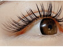 ザラボアングゥ(The Labo ungu)/アップワードラッシュ