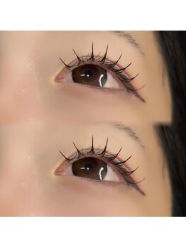 メイリー 原宿(MEILI)/フラットラッシュ60本