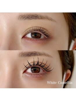 ホワイトカメリア 上本町店(White Camellia)/マツエクサロン/まつ毛パーマ/