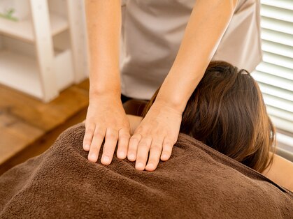 ナビ(navi)の写真