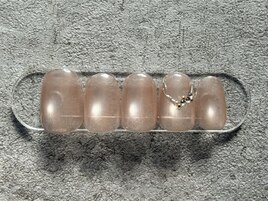 中村限定◎定額シンプル1