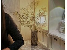 ショウウン(SHOUN)/