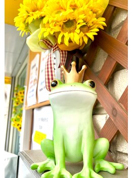 ひまわり鍼灸接骨院/ひまわり鍼灸接骨院マスコット