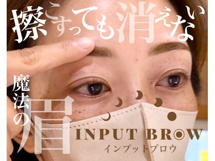 フイ(hui)の写真