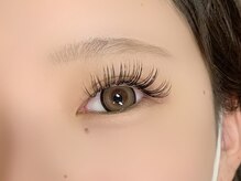 アンディ(ANDY)/flatlash160本