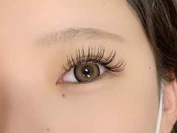 アンディ(ANDY)/flatlash160本